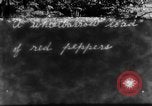 Image of Market day China, 1938, second 1 stock footage video 65675050391