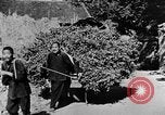 Image of Market day China, 1938, second 13 stock footage video 65675050391