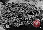 Image of Market day China, 1938, second 16 stock footage video 65675050391
