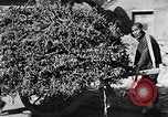 Image of Market day China, 1938, second 17 stock footage video 65675050391