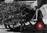 Image of Market day China, 1938, second 18 stock footage video 65675050391