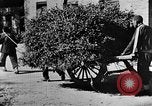 Image of Market day China, 1938, second 19 stock footage video 65675050391
