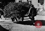 Image of Market day China, 1938, second 20 stock footage video 65675050391