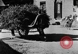 Image of Market day China, 1938, second 21 stock footage video 65675050391