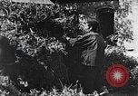 Image of Market day China, 1938, second 27 stock footage video 65675050391