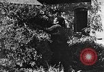 Image of Market day China, 1938, second 28 stock footage video 65675050391