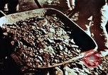 Image of First Nuclear Test China, 1964, second 39 stock footage video 65675050397