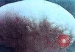 Image of thermonuclear test results China, 1966, second 1 stock footage video 65675050401