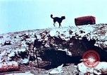 Image of thermonuclear test results China, 1966, second 17 stock footage video 65675050401