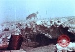 Image of thermonuclear test results China, 1966, second 26 stock footage video 65675050401