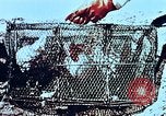 Image of thermonuclear test results China, 1966, second 54 stock footage video 65675050401
