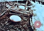 Image of thermonuclear test results China, 1966, second 56 stock footage video 65675050401