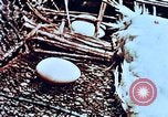 Image of thermonuclear test results China, 1966, second 57 stock footage video 65675050401