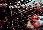 Image of thermonuclear test results China, 1966, second 60 stock footage video 65675050401