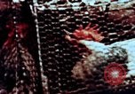 Image of thermonuclear test results China, 1966, second 61 stock footage video 65675050401