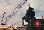 Image of National Christmas tree Washington DC USA, 1970, second 15 stock footage video 65675050416
