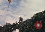 Image of National Christmas tree Washington DC USA, 1970, second 25 stock footage video 65675050416