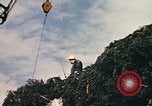 Image of National Christmas tree Washington DC USA, 1970, second 26 stock footage video 65675050416