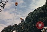 Image of National Christmas tree Washington DC USA, 1970, second 27 stock footage video 65675050416