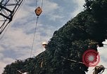 Image of National Christmas tree Washington DC USA, 1970, second 28 stock footage video 65675050416