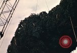 Image of National Christmas tree Washington DC USA, 1970, second 38 stock footage video 65675050416