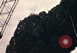 Image of National Christmas tree Washington DC USA, 1970, second 39 stock footage video 65675050416