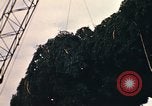 Image of National Christmas tree Washington DC USA, 1970, second 40 stock footage video 65675050416