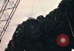 Image of National Christmas tree Washington DC USA, 1970, second 41 stock footage video 65675050416
