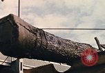 Image of National Christmas tree Washington DC USA, 1970, second 43 stock footage video 65675050416