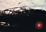 Image of National Christmas tree Washington DC USA, 1970, second 49 stock footage video 65675050416