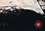 Image of National Christmas tree Washington DC USA, 1970, second 50 stock footage video 65675050416