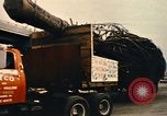 Image of National Christmas tree Washington DC USA, 1970, second 57 stock footage video 65675050416