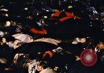 Image of Richard Nixon and his family Washington DC USA, 1970, second 19 stock footage video 65675050417