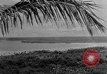 Image of Japanese invasion Guam, 1941, second 26 stock footage video 65675050429
