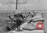 Image of Japanese invasion Guam, 1941, second 33 stock footage video 65675050429