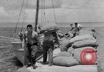 Image of Japanese invasion Guam, 1941, second 34 stock footage video 65675050429