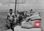 Image of Japanese invasion Guam, 1941, second 35 stock footage video 65675050429