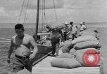 Image of Japanese invasion Guam, 1941, second 36 stock footage video 65675050429