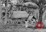 Image of Japanese invasion Guam, 1941, second 37 stock footage video 65675050429