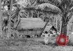 Image of Japanese invasion Guam, 1941, second 38 stock footage video 65675050429