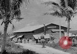 Image of Japanese invasion Guam, 1941, second 47 stock footage video 65675050429