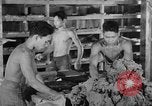 Image of Japanese invasion Guam, 1941, second 50 stock footage video 65675050429