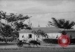 Image of road construction Guam, 1939, second 3 stock footage video 65675050432