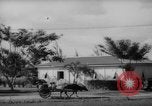 Image of road construction Guam, 1939, second 18 stock footage video 65675050432