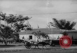 Image of road construction Guam, 1939, second 19 stock footage video 65675050432