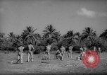 Image of firing range Guam, 1939, second 62 stock footage video 65675050437