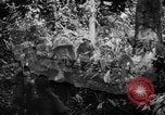 Image of capturing Guam Mariana Islands, 1944, second 40 stock footage video 65675050442