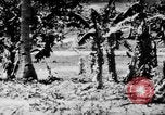 Image of capturing Japanese airbase Mariana Islands, 1944, second 10 stock footage video 65675050443