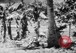 Image of capturing Japanese airbase Mariana Islands, 1944, second 14 stock footage video 65675050443