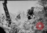 Image of capturing Japanese airbase Mariana Islands, 1944, second 18 stock footage video 65675050443